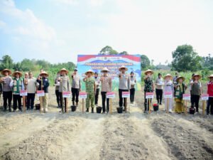 d013210e3c637cabd5ec788ff66285e8