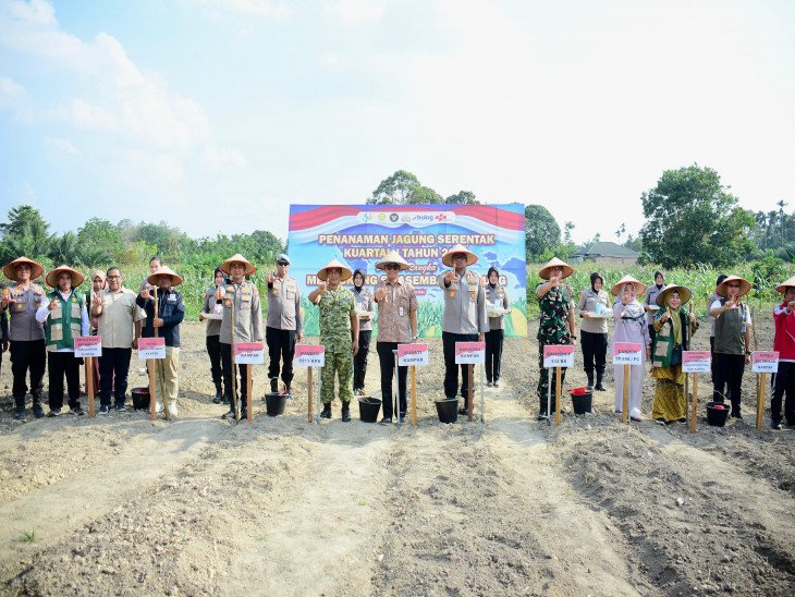 d013210e3c637cabd5ec788ff66285e8