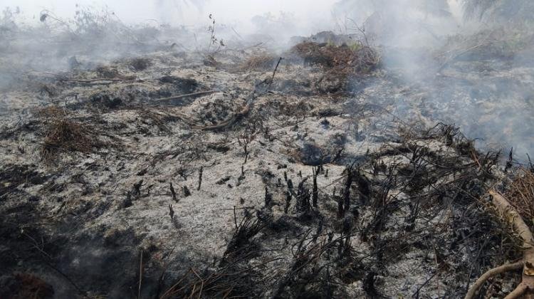 2026-04-03-riau-masih-panas-menyengat-91-hotspot-mengepung-bengkalis-terparah