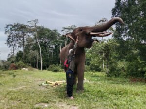 cakaplahcom_acguw_134338_m