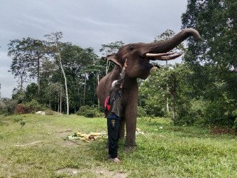 cakaplahcom_acguw_134338_m