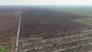 cakaplahcom_mlbsw_134499_m