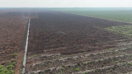 cakaplahcom_mlbsw_134499_m