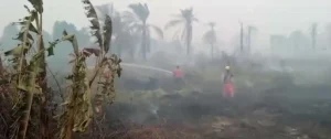 update-karhutla-riau-pelalawan-hingga-dumai-padam-operasi-ud-i9qzcq